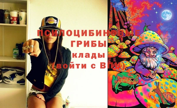 прущие крисы Алексин