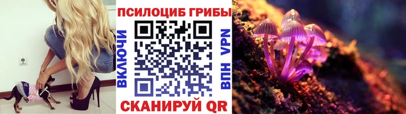 Купить закладки  Воскресенск  Галлюциногенные грибы мухоморы 