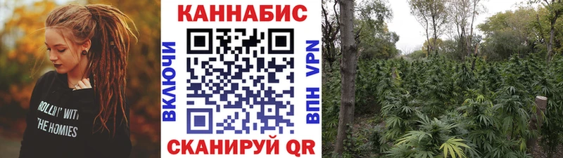 Шишки марихуана индика  Купить закладки  Воскресенск 